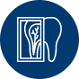 dental-xray